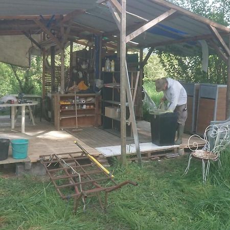 Yourte Rustique En Permaculture Creysse  Екстер'єр фото
