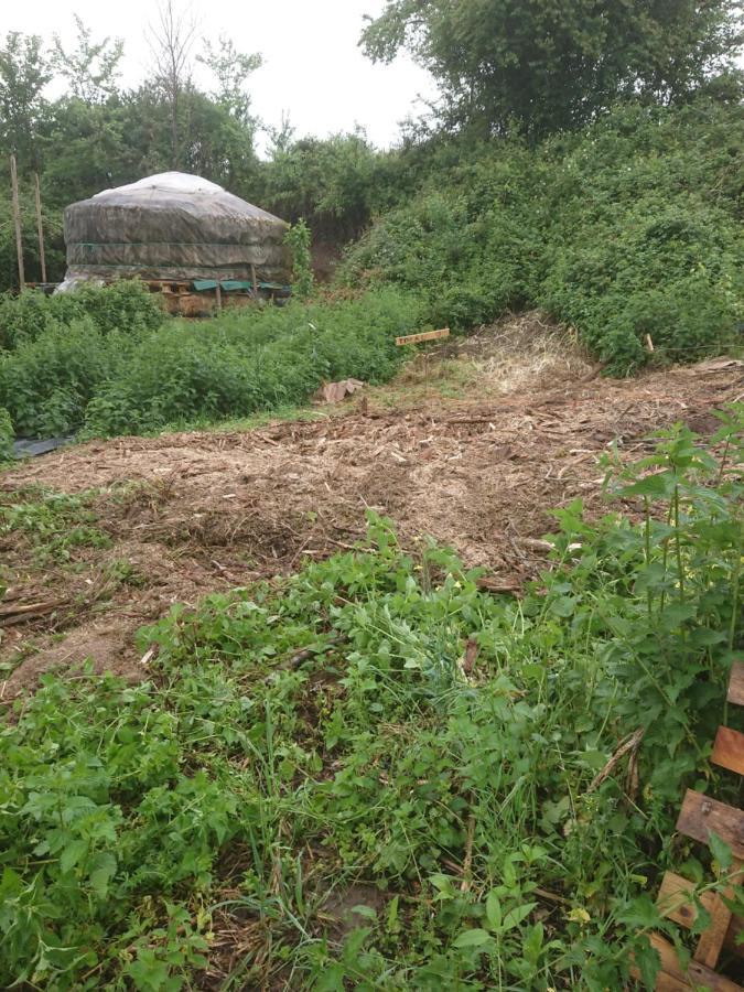 Yourte Rustique En Permaculture Creysse  Екстер'єр фото